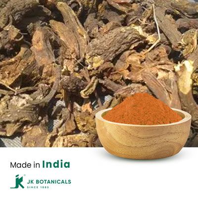Yellow Dock Root Powder Steam Treated by JK Botanicals