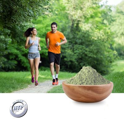 Yerba Mate Extract 20% as YerbaPure® by Hi-Tech Pharma