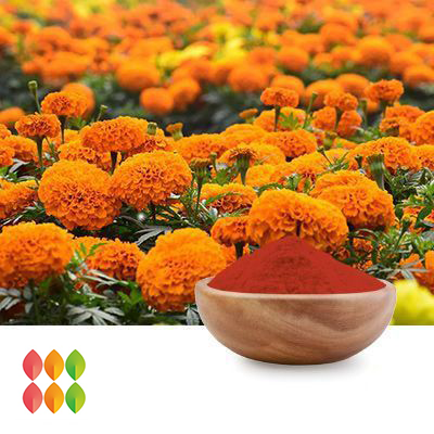 Zeaxanthin 20% HPLC (MARIGOLD EXTRACT) (cGMP certified) by PUREHEALTH