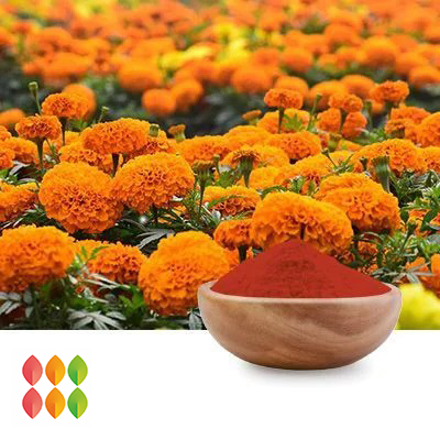 Zeaxanthin 5% HPLC (MARIGOLD EXTRACT) (cGMP certified) by PUREHEALTH