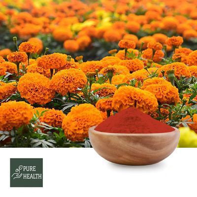 Zeaxanthin 20% HPLC (MARIGOLD EXTRACT) by PUREHEALTH
