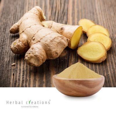 Zingiber officinale Extract 5% Gingerols By HPLC by Herbal Creations