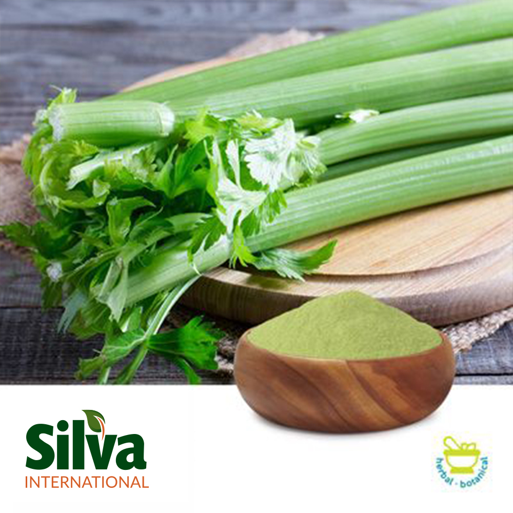 Buy Wholesale Celery Powder 60 Mesh Ingredients Online