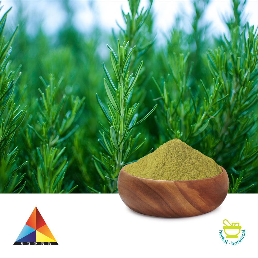 Purchase Bulk Rosemary Extract Ursolic Acid 25 Powder Ingredients Online