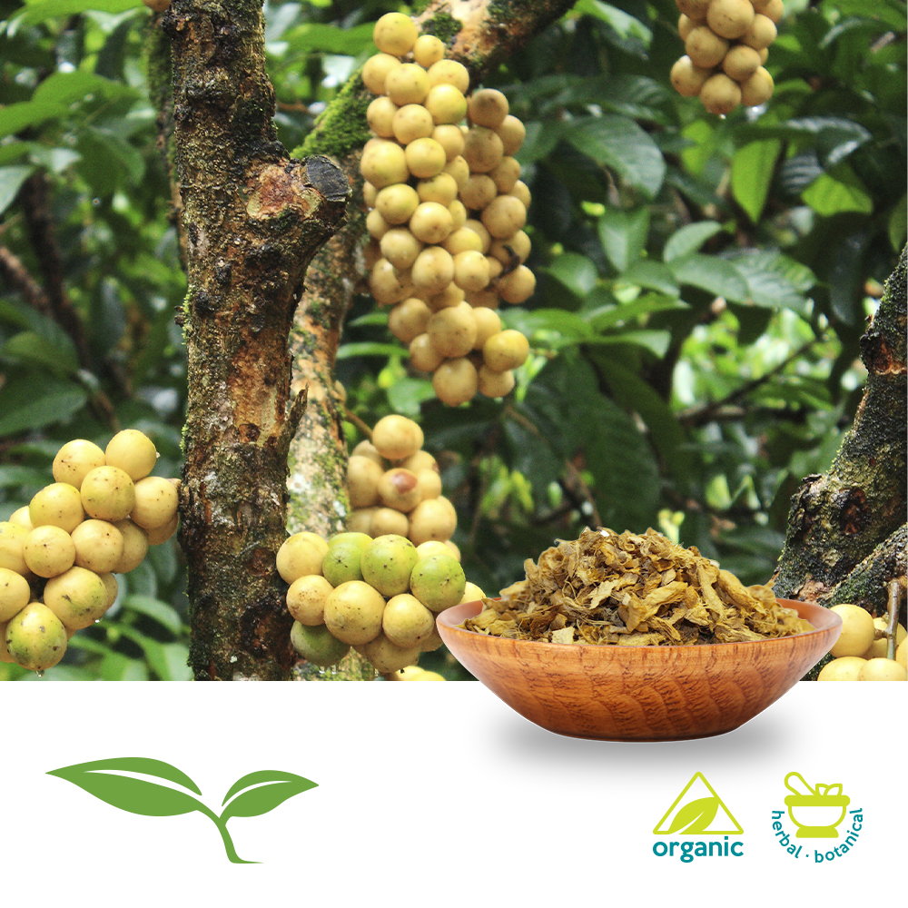 Bulk Cocillana Bark (Cut and Sift) Ingredients Online