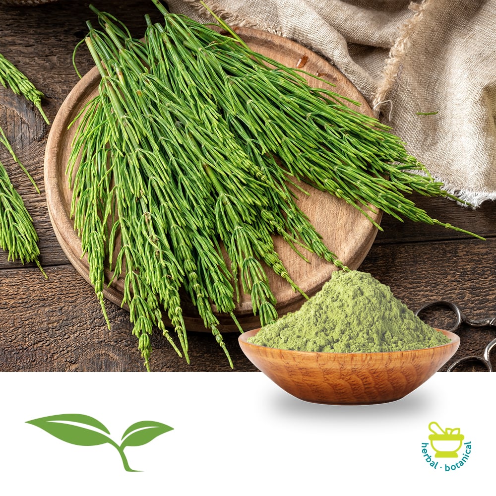Purchase Bulk Horsetail Herb Powder (Hyemale) Ingredients Online
