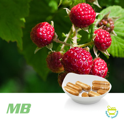 Purchase Wholesale Raspberry Ketone Ultra Capsules ...