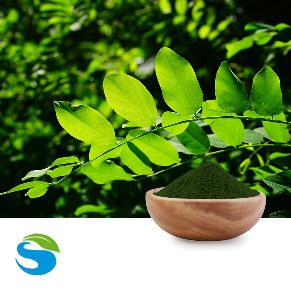 Buy Bulk Sodium Copper Chlorophyllin Ingredients Online